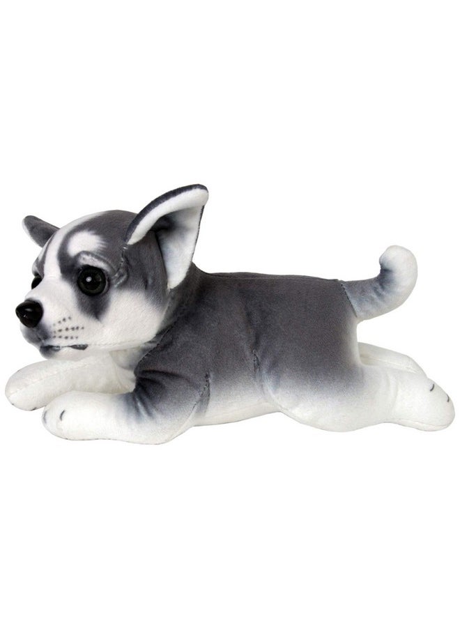 Stuffed Animals Dog Plush Toy 10 Inch (Husky)