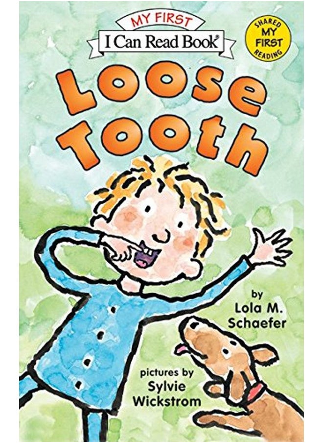 Tooth Fairy Plush Pillow W/Tooth Fairy Book Set (Drake Dragon Tf/Loose Tooth)