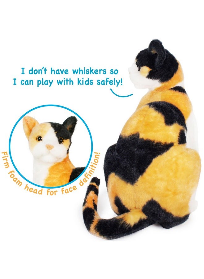 Catalina The Calico Cat - 13 Inch Stuffed Animal Plush - By Tigerhart Toys