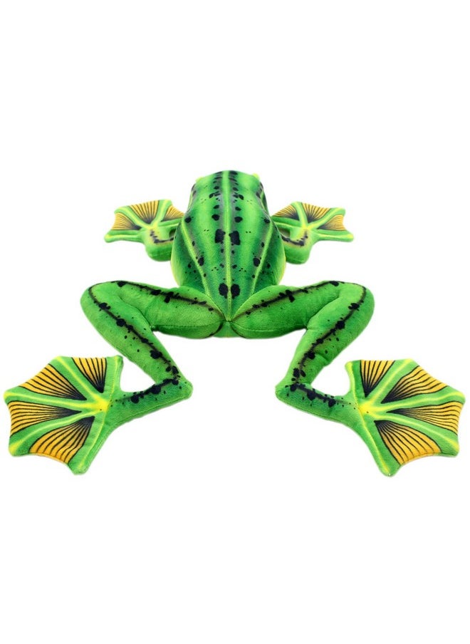Lifelike Stuffed Animals Green Frogs Soft Plush Toys Home Decrorations 18 Inch
