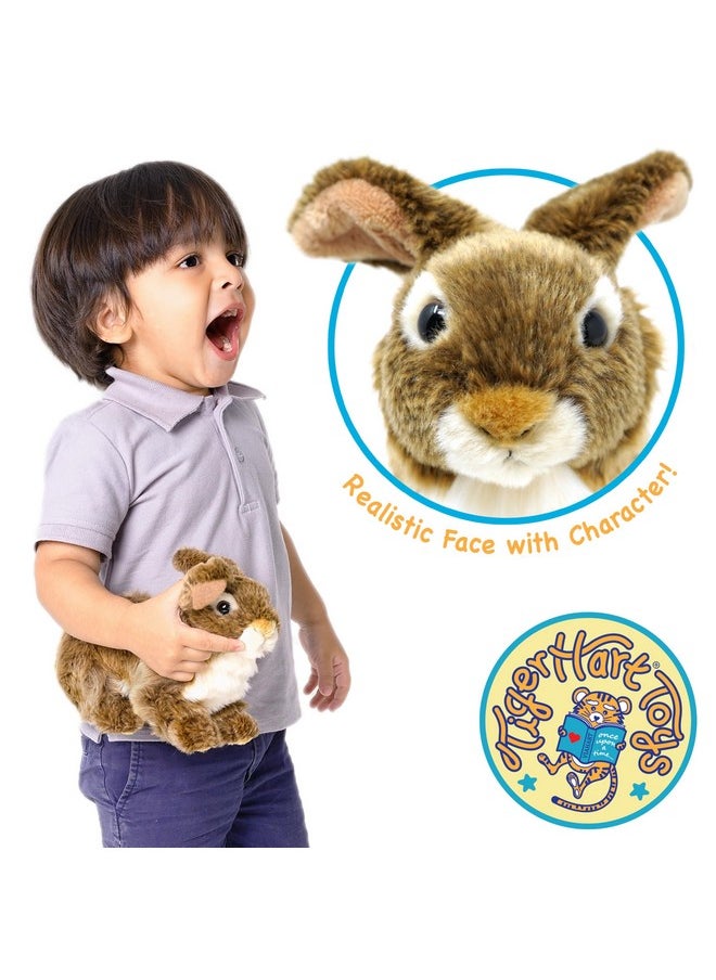 Brigid The Brown Rabbit - 10 Inch Stuffed Animal Plush Bunny - By Tigerhart Toys