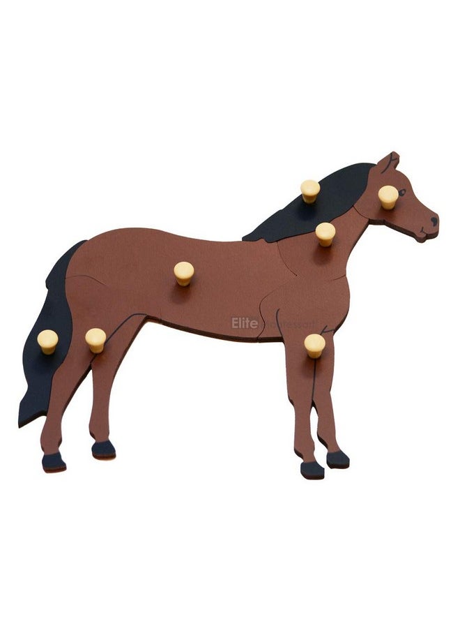 Horse Puzzle Preschool Learning Material