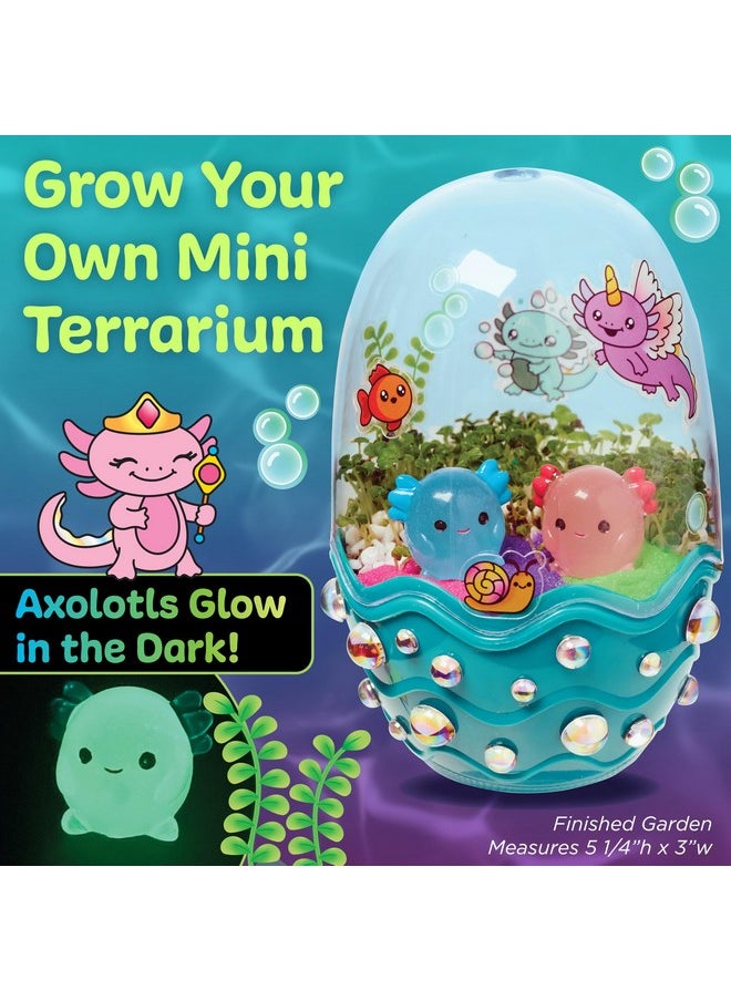 Mini Garden: Axolotl Terrarium - Stem Science Kit For Kids, Axolotl Arts And Crafts For Kids, Kids Gifts Stocking Stuffers And Diy Girls Toys Age 6-8+