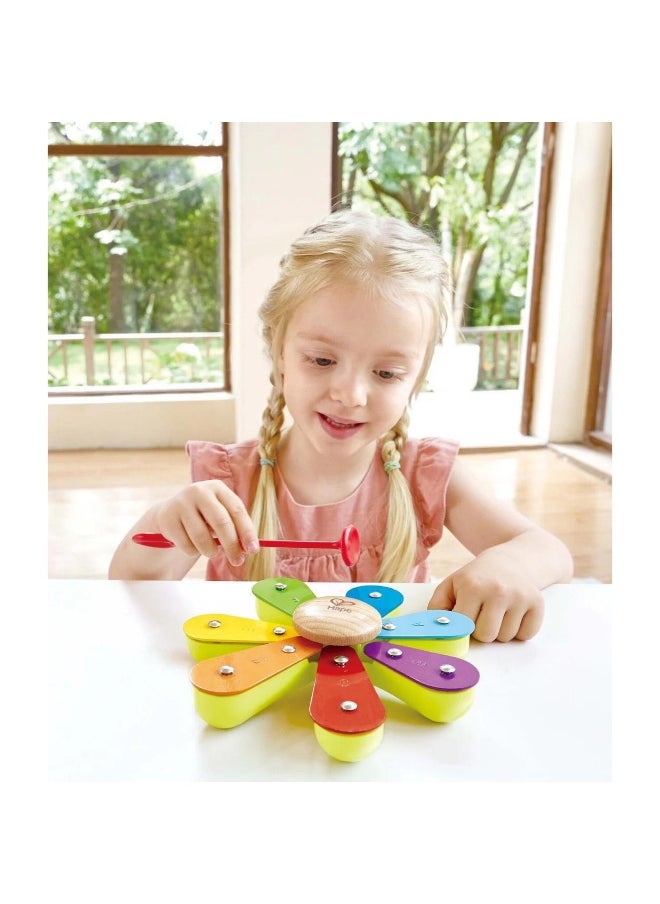 Hape Nature Band Rhythm Kit