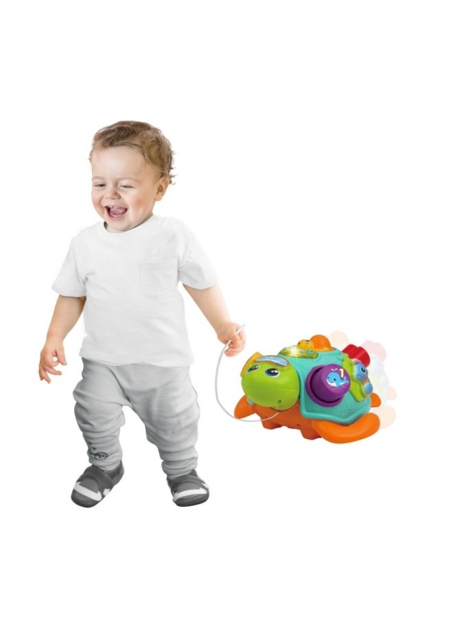 Winfun Pull Along Sort 'N Learn Turtle