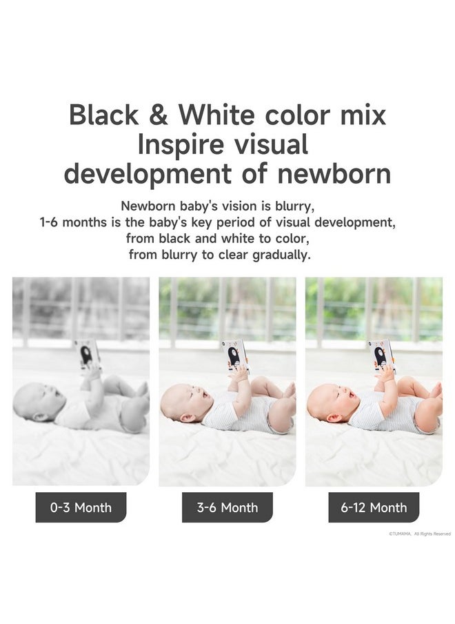 Black And White Baby Toys, High Contrast Baby Tummy Time Toys, Newborn Soft Books Mirror Rattles, Montessori Sensory Toys 0-12 Months, Hanging Infant Toys For Carseat Stroller Play Mat Crib