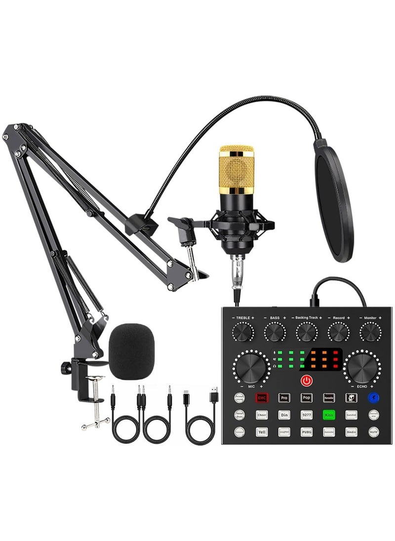 Podcast Equipment Bundle with Audio Interface,V8S Voice Changer, Condenser Karaoke Microphone, Mic Stand and Mic Pop Filter,Podcast Starter Kit DJ Audio Mixer for Podcast and Live