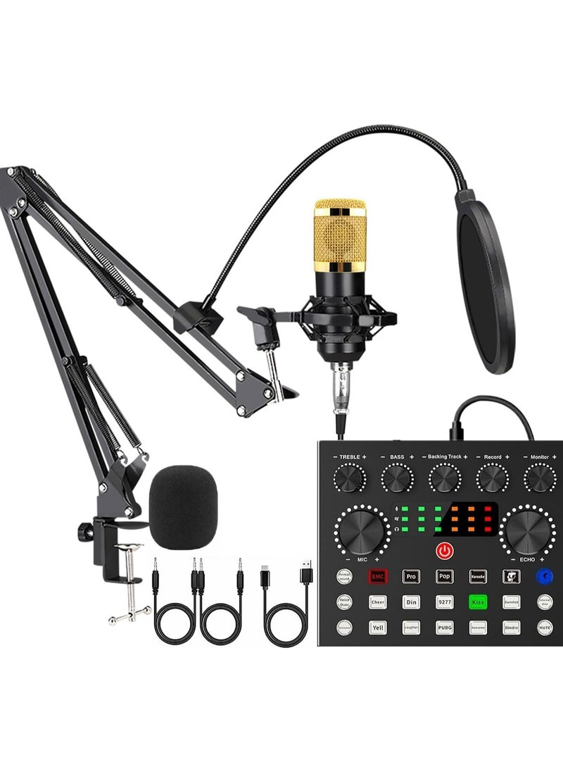 Podcast Equipment Bundle with Audio Interface,V8S Voice Changer, Condenser Karaoke Microphone, Mic Stand and Mic Pop Filter,Podcast Starter Kit DJ Audio Mixer for Podcast and Live