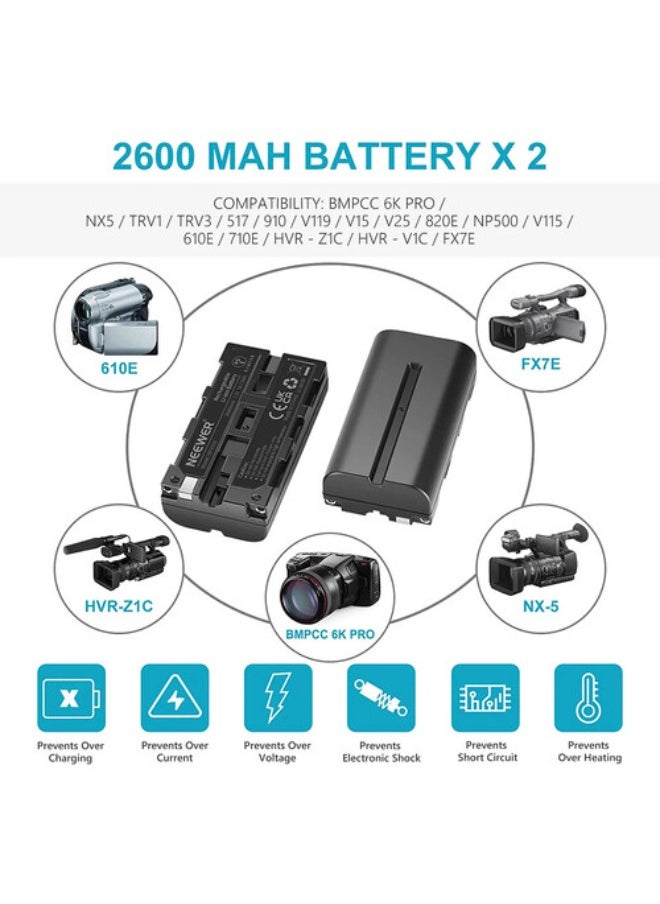 Neewer NP-F550 Battery 2-Pack with Dual USB Charger (2600mAh)