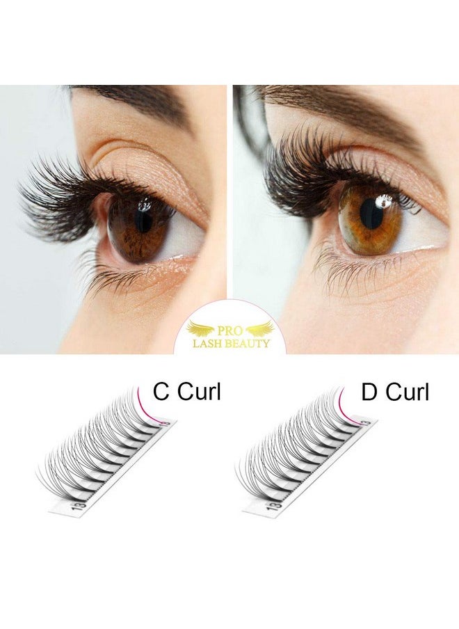 Premade Fans Eyelash Extensions 6D-D-0.10-14 Short Stem Premade Volume Eyelash Extensions .07 .10 C D Curl Pre Made Lash Fans 9 To 20 Mm Volume Lash Extensions (6D-D-0.10,14Mm)