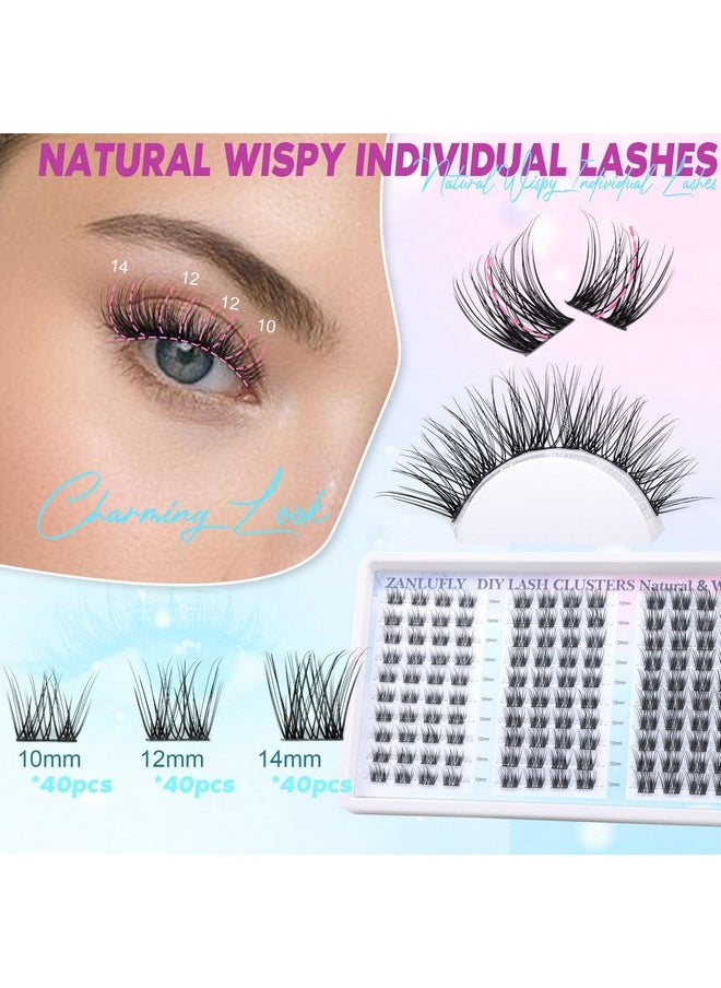 Sters Natural Eyelash Clusters D Curl Cluster Lashes Zanlufly Wispy Individual Lashes Cluster Eyelash Extension 10 12 14Mm Diy Lash Extension