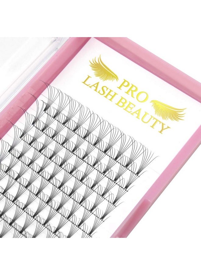 Premade Fans Eyelash Extensions 6D-D-0.10-13 Short Stem Premade Volume Eyelash Extensions .07 .10 C D Curl Pre Made Lash Fans 9 To 20 Mm Volume Lash Extensions (6D-D-0.10,13Mm)