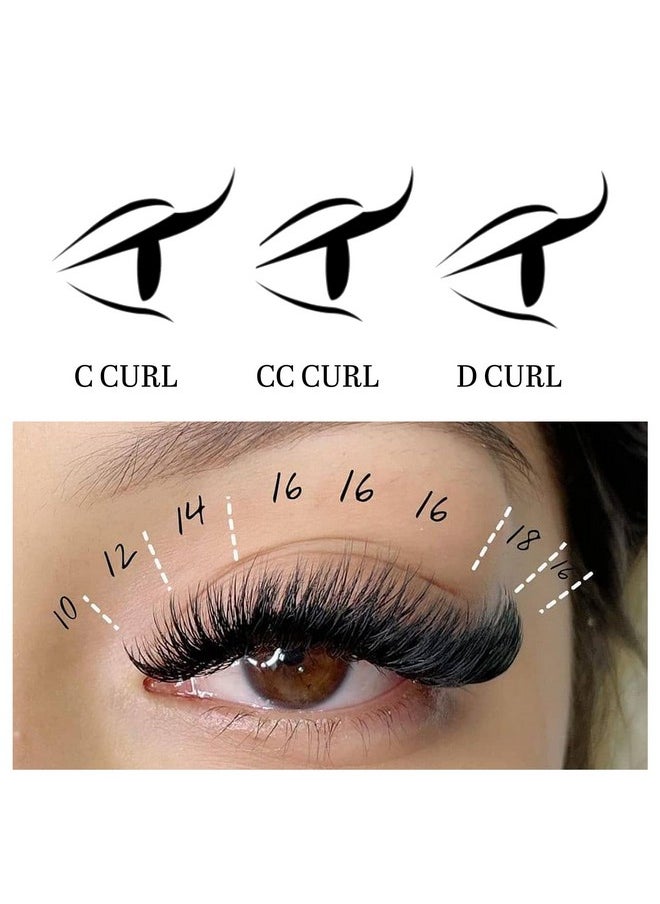 Easy Fan Volume Lash Extensions 03 05 07 J/B/L/C/Cc/D/Dd Curl 8-25Mm Mixed & Single Length Tray, Matte Black Self Fanning Eyelashes, Professional Supplies For Lash Techs (0.05 D 15-20Mm)