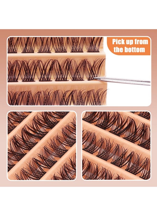 Lash Clusters 120Pcs D Curl Clusters Lashes Volume Individual Lashes Wispy Diy Lash Extensions Fake Eyelashes Mix Length 8/10/12/14/16Mm At Home Lash Extension Clusters (10R,B10-D,8-16Mm)