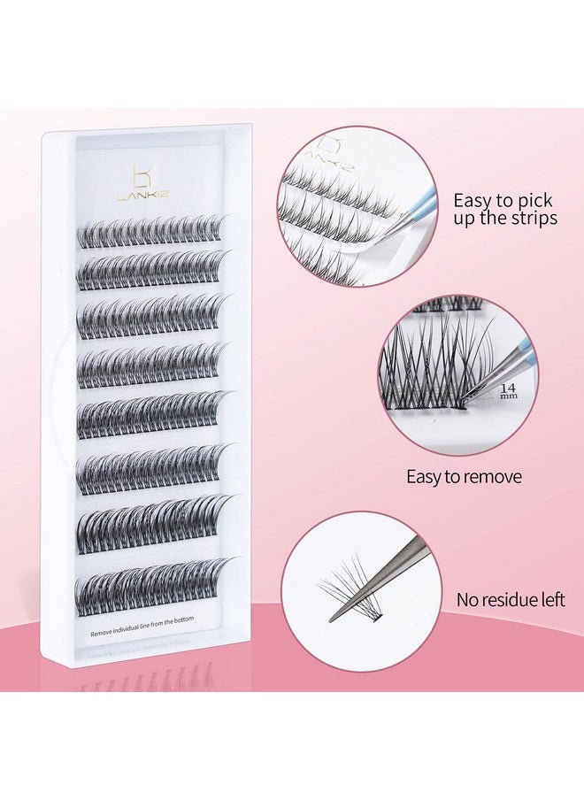 Individual Lashes Natural Cluster Lashes 12 Roots C Curl 0.1Mm Thickness 8-14Mm Mix Faux Mink Diy Individual Eyelashes 160 Pcs (Cluster-27)