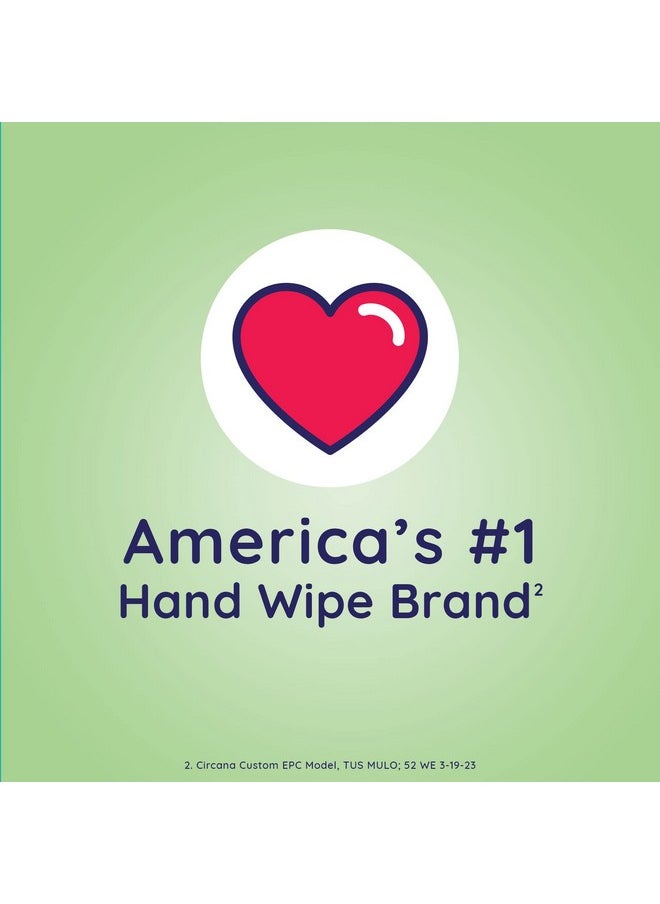 Antibacterial Eucalyptus & Mint Hand Wipes, Canister| Antibacterial Wipes, Hand Sanitizer Wipes, Wet Ones Wipes, Soft Textured Wipes, Lightly Scented Wipes, 150 Ct. (1 Pack)