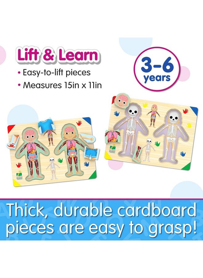 : Lift & Learn Inside Of Me - Human Body Layered 28 Piece Jigsaw Puzzles- Montessori School - Learning Educational Toy For Baby - Kids Ages 3 And Up Non-Toxic & Bpa Free