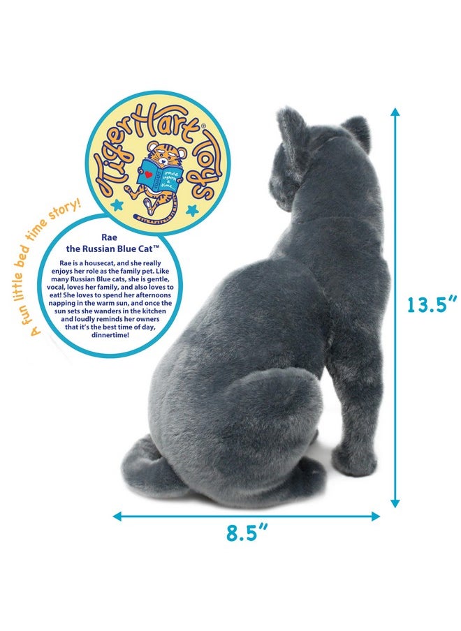 Rae The Russian Blue Cat - 12 Inch Grey Stuffed Animal Plush Gray Cat - By Tigerhart Toys