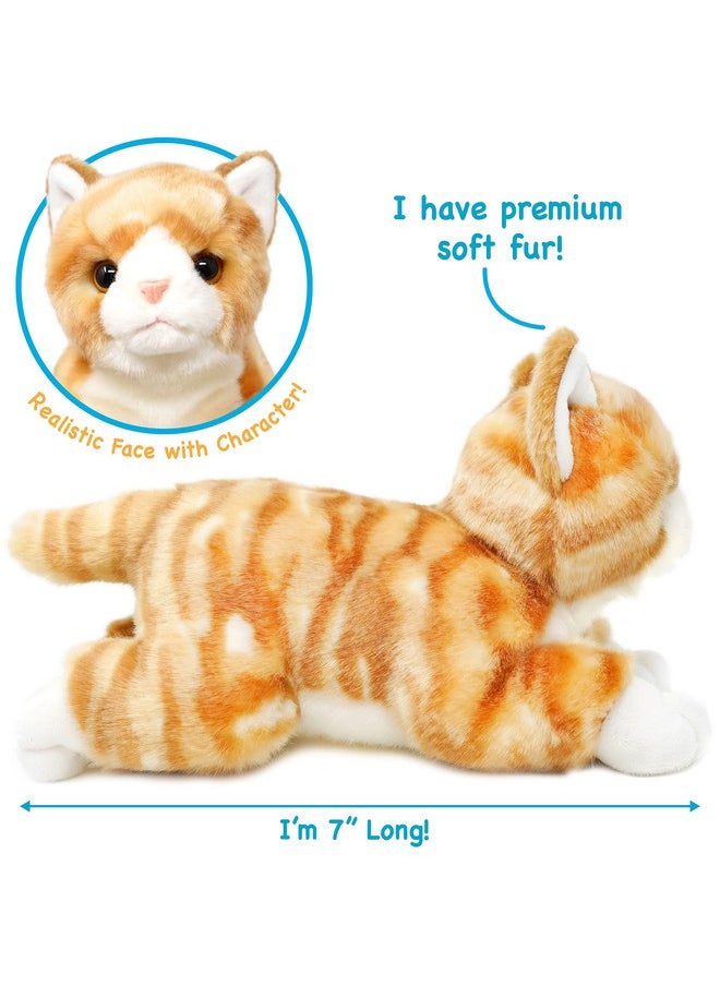 Tamarr The Orange Tabby Cat | 10 Inch Stuffed Animal Plush | By Tigerhart Toys