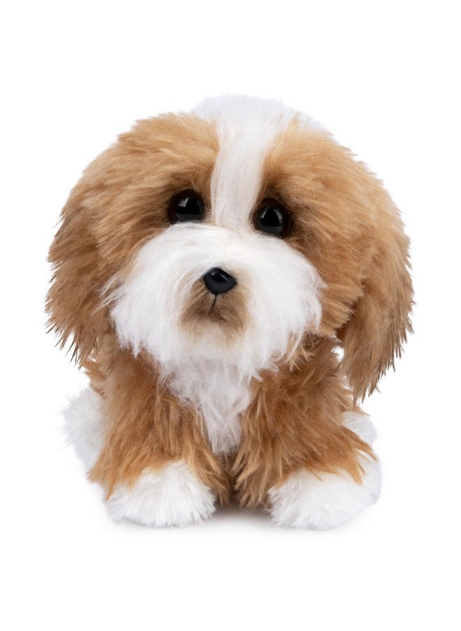 Boo, The World’S Cutest Dog, Boo & Friends Collection Tibetan Terrier Puppy, Stuffed Animal For Ages 1 And Up, 5”