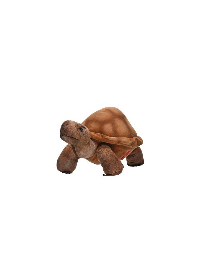 Desert Tortoise Plush, Stuffed Animal, Plush Toy, Gifts For Kids, Cuddlekins 12 Inches,Multi, 0 Years