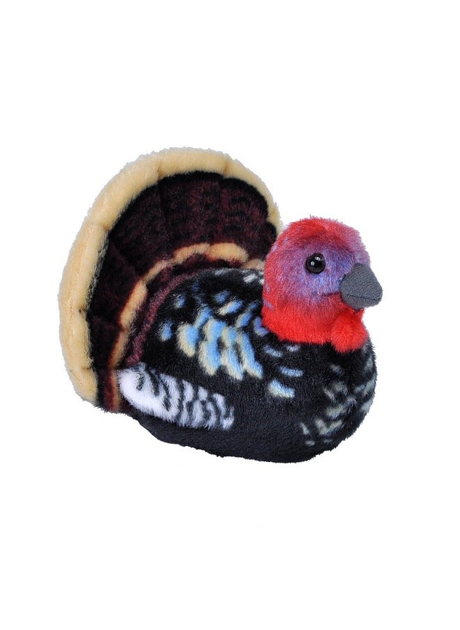 Audubon Birds Turkey Plush With Authentic Bird Sound, Stuffed Animal, Toys For Kids & Birders 5