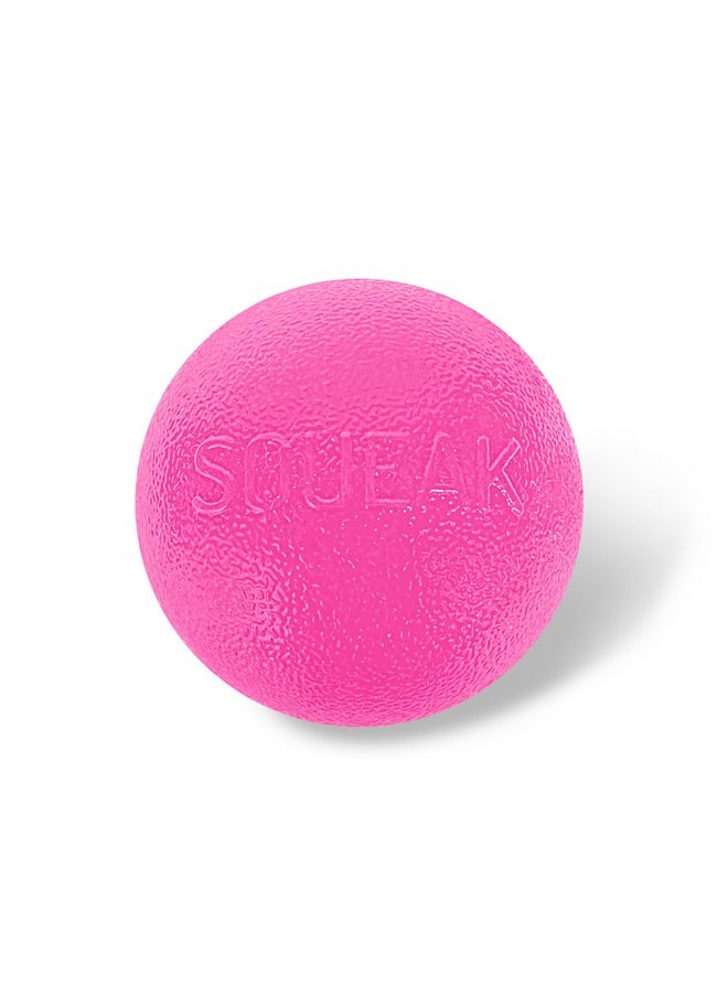 By Planet Dog Squeak Ball Bouncy Fetch Dog Toy, Pink