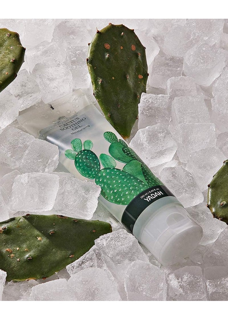 YADAH Cactus Soothing Gel (8.45fl oz) - Sunburn Relief, Calm, Cool & Soothe Irritated Skin, Face Redness. Korean Skin Care. 95% Cactus Extract, Vegan.