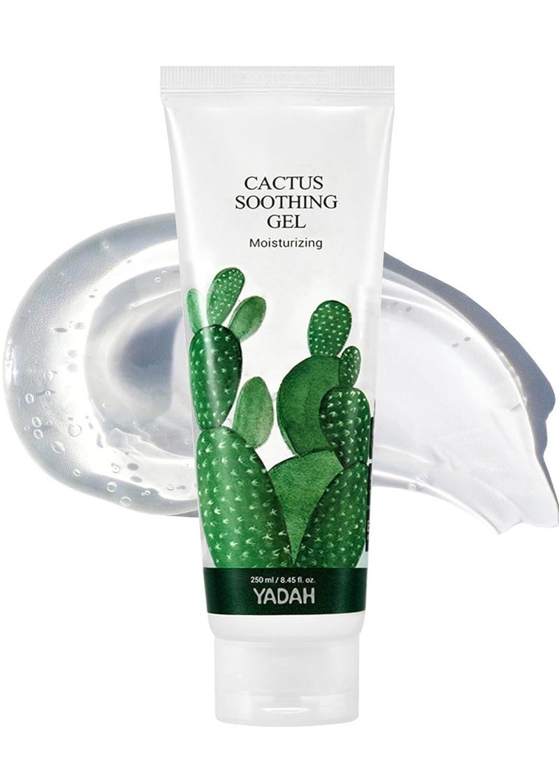 YADAH Cactus Soothing Gel (8.45fl oz) - Sunburn Relief, Calm, Cool & Soothe Irritated Skin, Face Redness. Korean Skin Care. 95% Cactus Extract, Vegan.