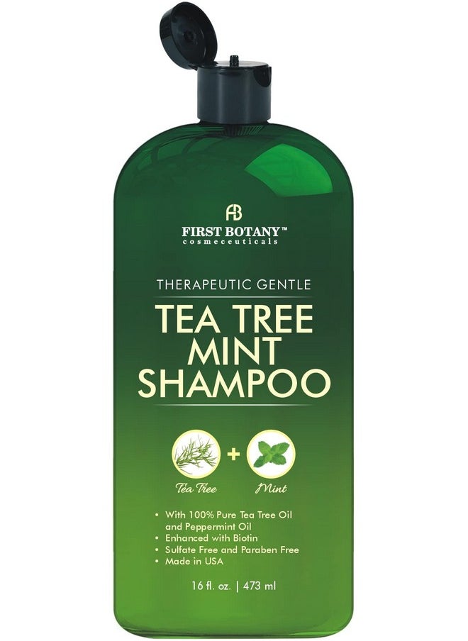 , Tea Tree Oil Shampoo 16 Fl Oz - Anti Dandruff Shampoo Natural Oil Cleanser For Dry Itchy & Flaky Scalp - Sulfate Free Paraben Free Cleanser - Prevents Head Lice & Thinning