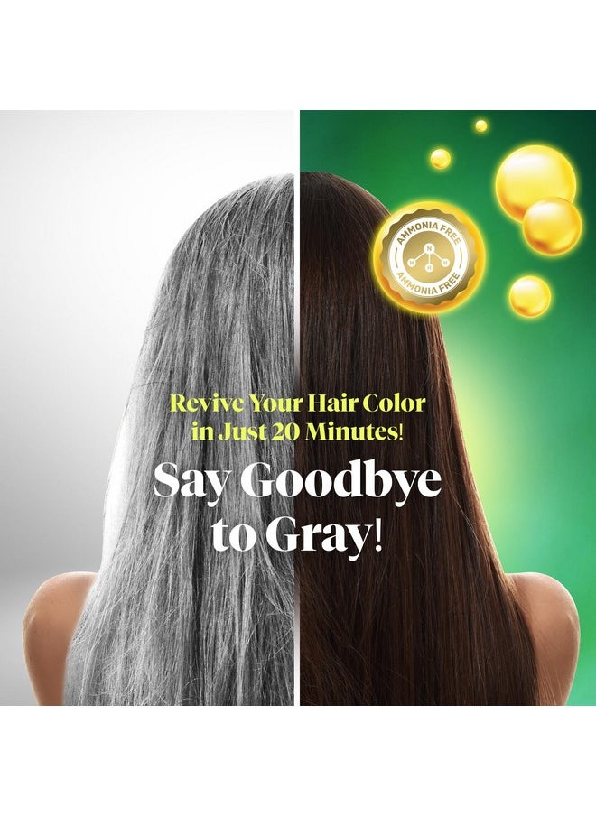 Ammonia-Free Herbal Hair Shampoo - Effectively Covers Gray Hair For Men And Women - Natural Color And Herbal Nourishment - No Stain On Skin - Brown Black (10 Sachets X 25 Ml)