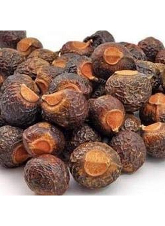Cleany Big Soap Nuts (Reetha, Areetha, Kunkudukaialu) - 1 Kg