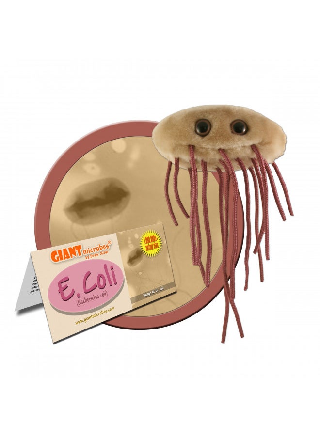 GIANTmicrobes E. Coli Plush Learn About The Importance of Gut Health and Food Safety with This Unique Fun Gift for Families, Teachers, Chefs, Doctors, Gastroenterologists, Students and Scientists