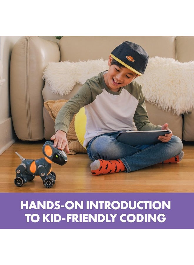 Pyxel A Coder’S Best Friend - Coding Robots For Kids With Blockly & Python Coding Languages