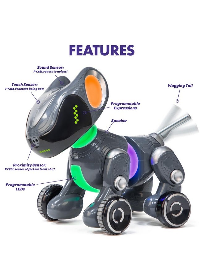 Pyxel A Coder’S Best Friend - Coding Robots For Kids With Blockly & Python Coding Languages