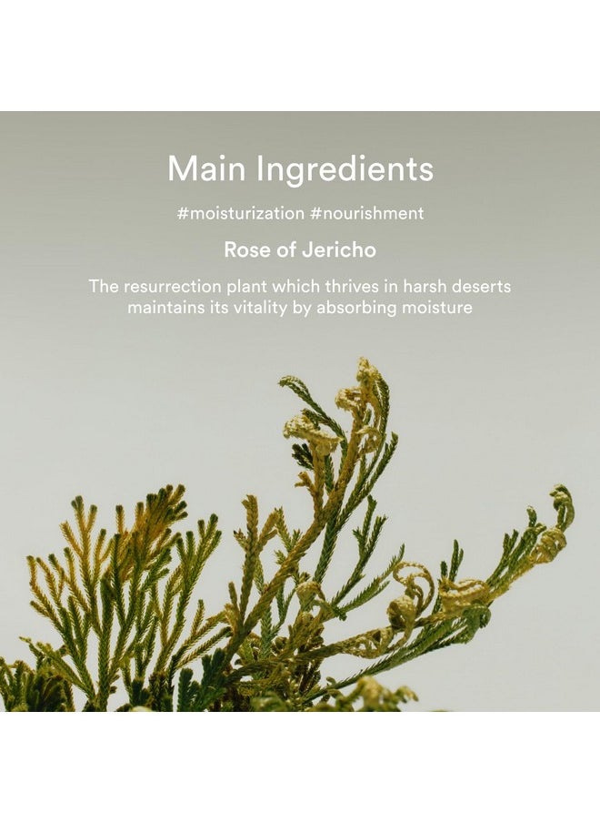 Collagen Eye Crème Jericho Rose Tube For Dark Circles And Puffiness, Under Eye Fine Lines