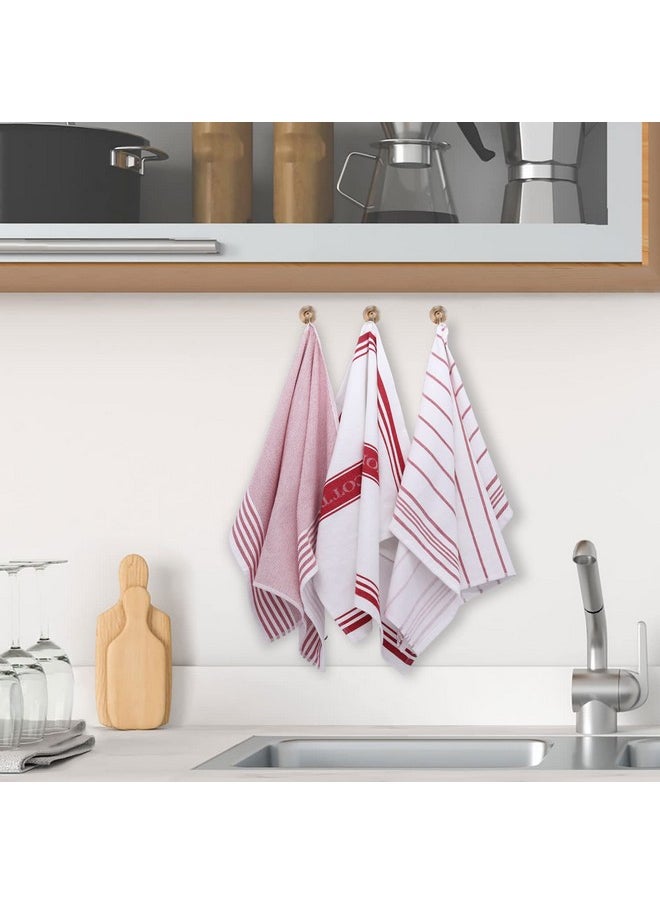 Classic Value Pack Kitchen Dish Towels/Tea Towels/Dishcloth - 100% Cotton, Low Lint, Professional Grade Kitchen Dish Towels Cranberry- Striped - Set Of 3