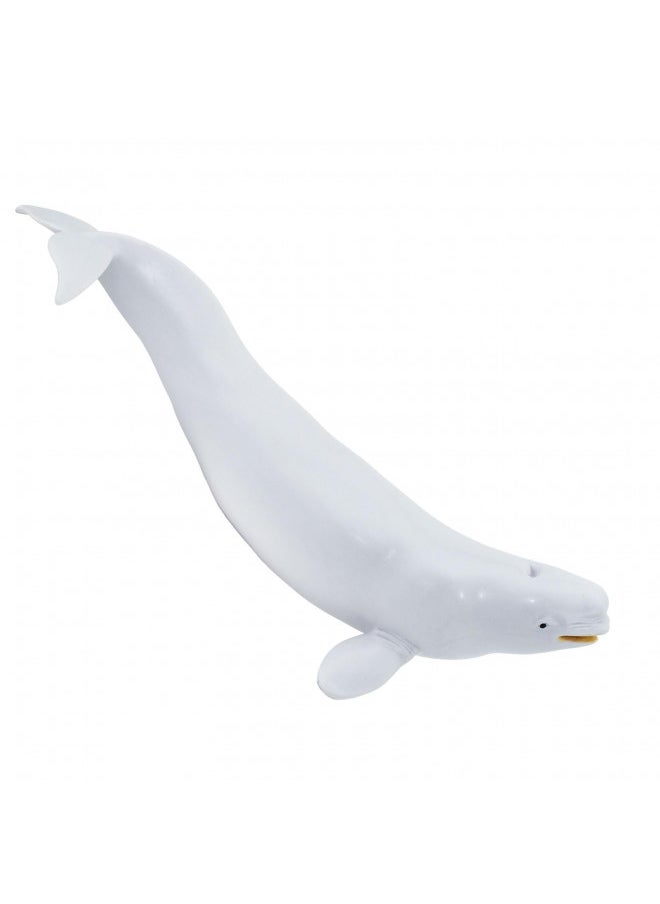 Safari Ltd. Beluga Whale Figurine - Lifelike 8