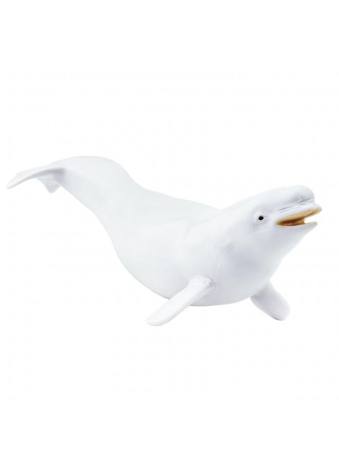 Safari Ltd. Beluga Whale Figurine - Lifelike 8