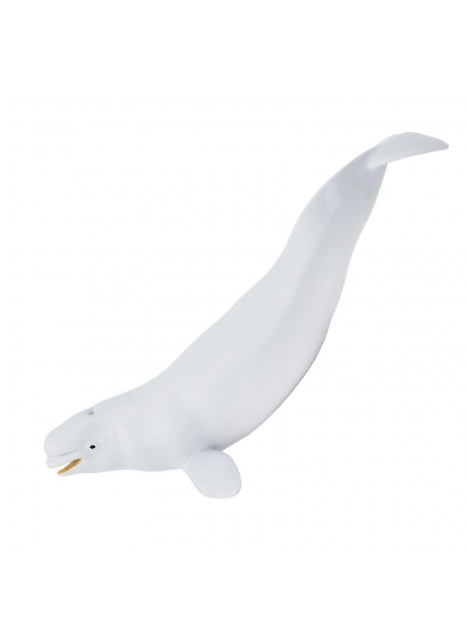 Safari Ltd. Beluga Whale Figurine - Lifelike 8