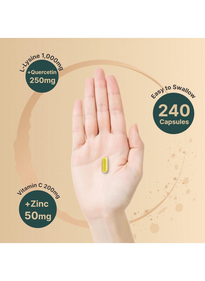 L-Lysine 1000mg + Quercetin 250mg Supplement, 240 Capsules, Free Form, 4-in-1 Lysine Complex, Quercetin with Vitamin C and Zinc | Immune Support | Promote Lips & Skin Health