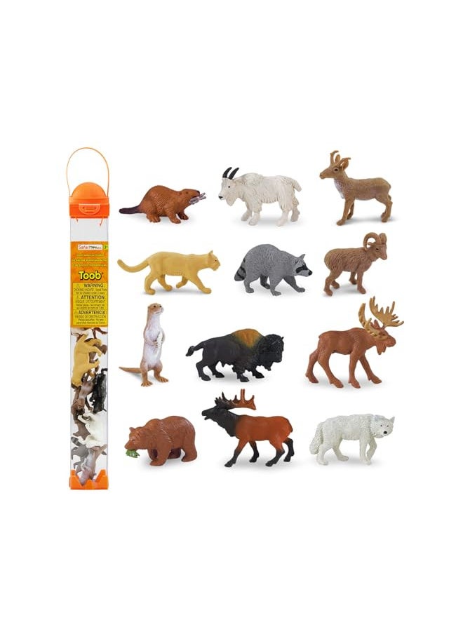 Safari Ltd. Wild Safari North American Wildlife TOOB With 12 Favorite Animal Toy Figurines