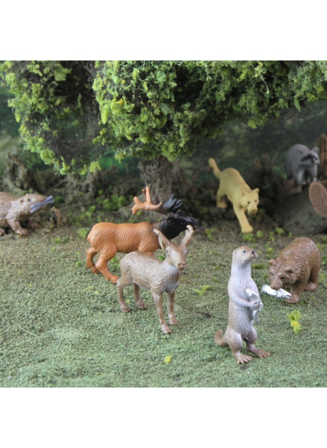 Safari Ltd. Wild Safari North American Wildlife TOOB With 12 Favorite Animal Toy Figurines