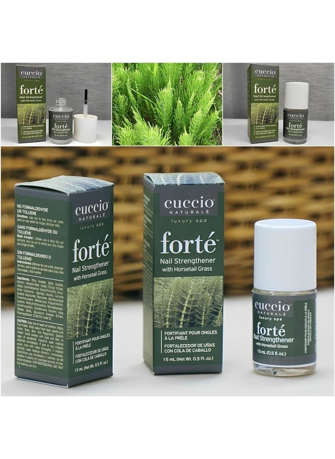 Naturale Forte Nail Strengthener Treatment For Nail Care - With Horsetail Grass | Strong, Growth & Repair Nail Strength | Cuticle Oil Nutrient Rich Formula Makes Finger & Toenail Pliable - 15Ml