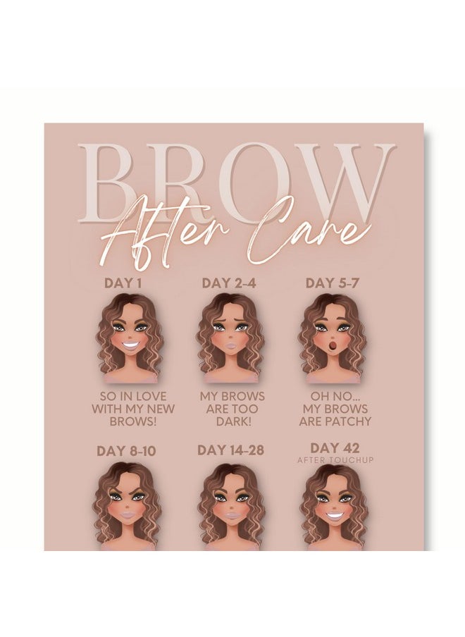 Pmu Eyebrow Powder Brow Microblading Aftercare Instruction Cards - 4X6 Inches - Front And Back Stages Of Brow Healing