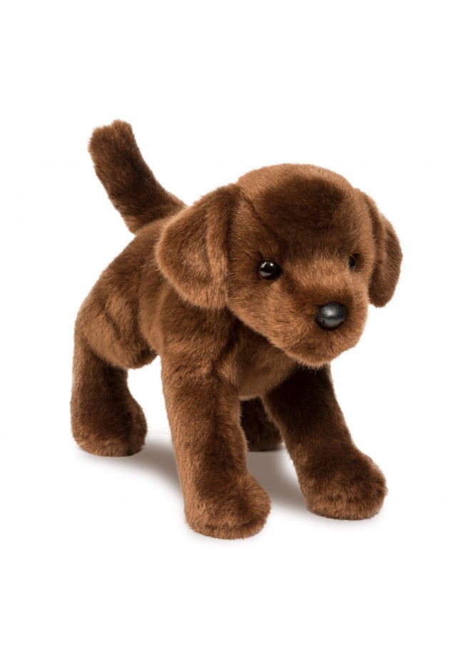 Douglas C.C. Bean Chocolate Lab Dog Plush Stuffed Animal