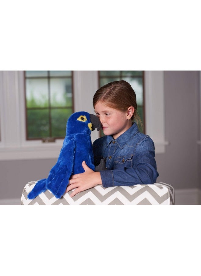 Ck Hyacinth Macaw, Multi Color (12-Inch)