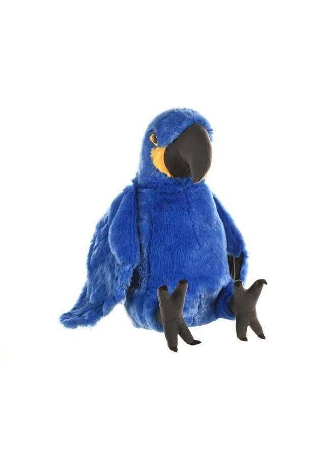 Ck Hyacinth Macaw, Multi Color (12-Inch)