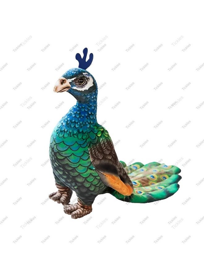 Beautiful Peafowl Peacock Zoo Bird Soft Stuffed Plush Toy For Kids Boys & Girls Birthday Gift (Size: 35 Cm; Color: Multicolor)