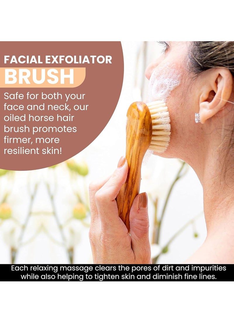 Since 1869 Hand Made in Germany - Sustainable Exfoliating Face Brush, Scrub Cleansing Brush, Exfoliates Skin to Help Reduce Flaking, Fine Lines, Supports Glowing Complexion Natural Boar Bristle